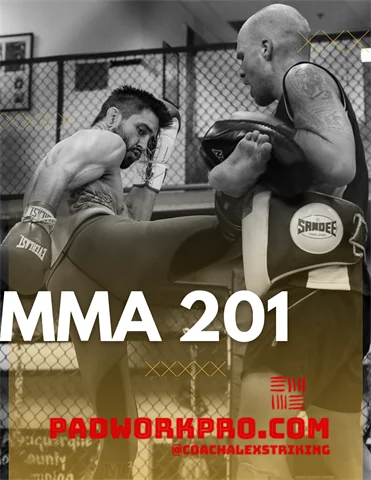 MMA 201 - Coach Alex Exsisto