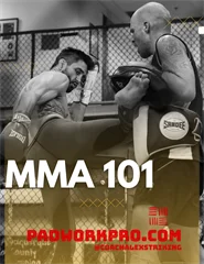 MMA 101 - Coach Alex Exsisto