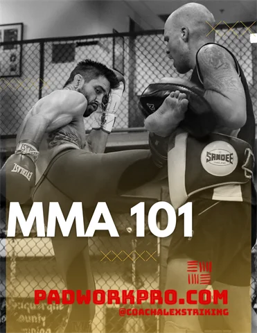 MMA 101 - Coach Alex Exsisto