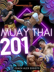 Muay Thai 201 - Coach Alex Exsisto